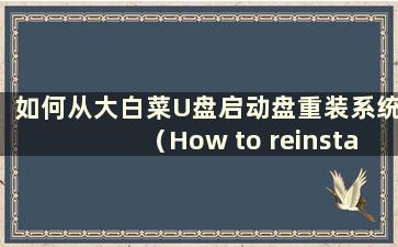 如何从大白菜U盘启动盘重装系统（How to reinstall the system from the Chinese cabbage USB boot disk）